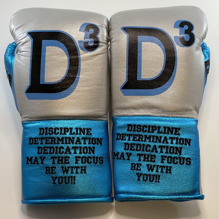 Pro Gloves Gray & turquoise Blue