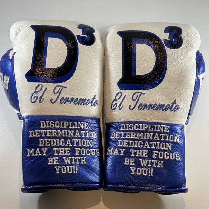 Pro Gloves Gray & Blue