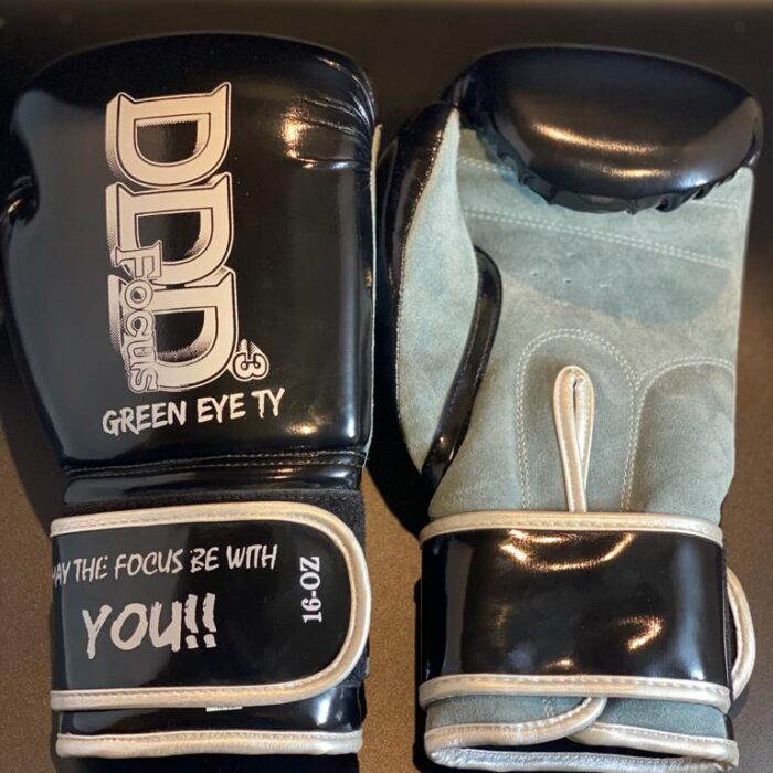 Showtime Training Leather & Suede Velcro Gloves