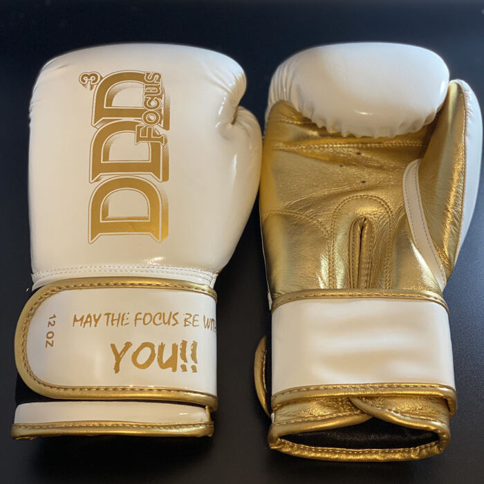 Showtime Training Gloves
