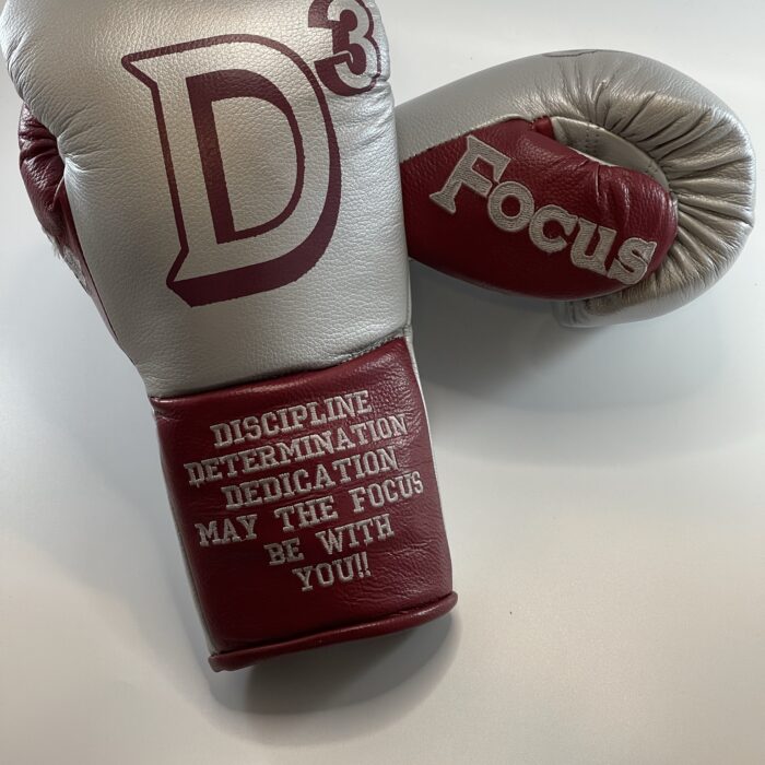 Pro Gloves Silver & Burgundy